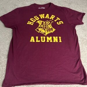 Harry Potter Hogwarts small tshirt